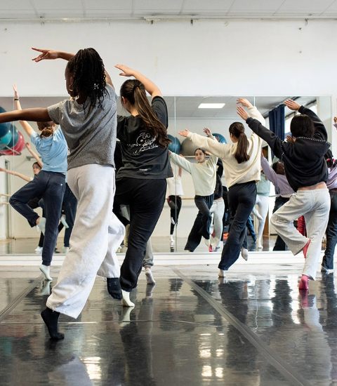 DANSE