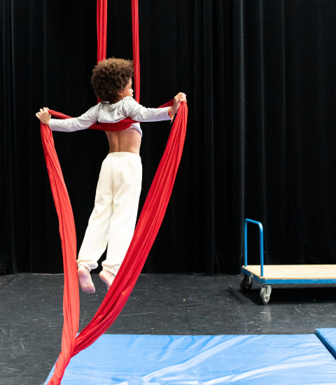 ARTS DU CIRQUE