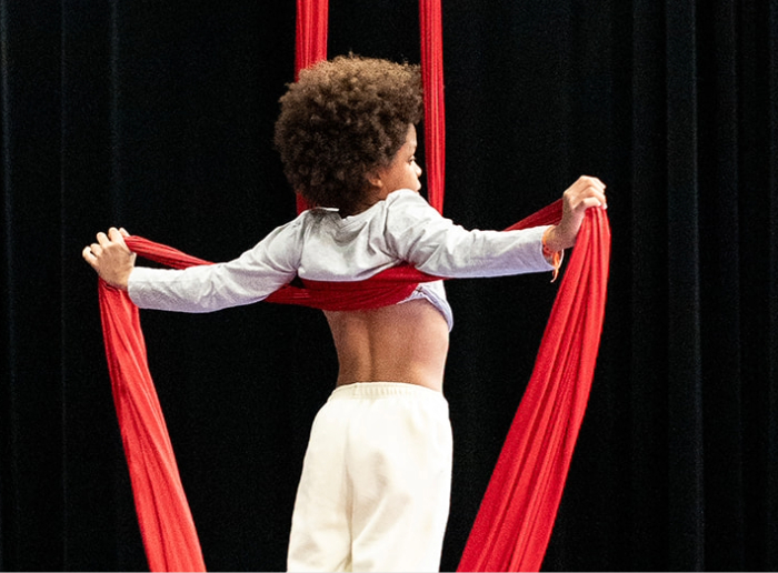 ARTS DU CIRQUE